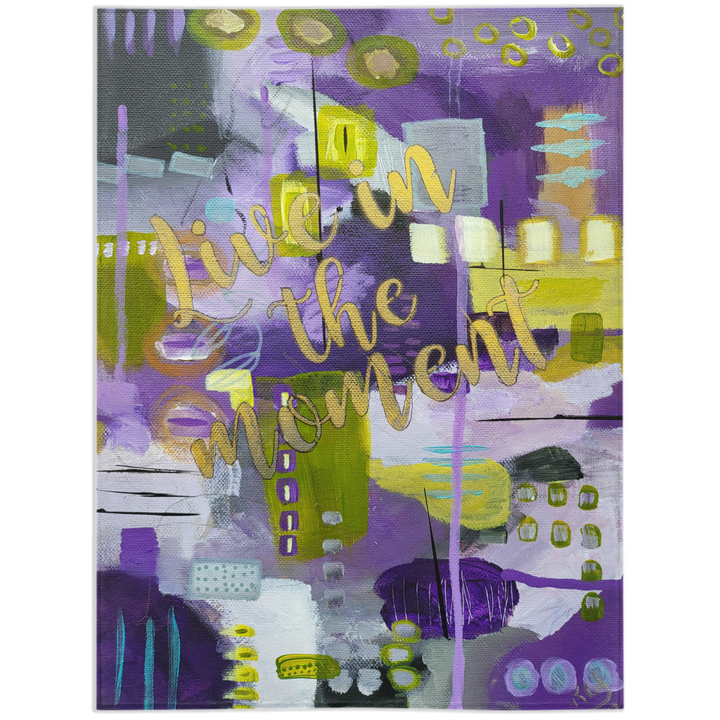 Intu008022 Minky Blankets