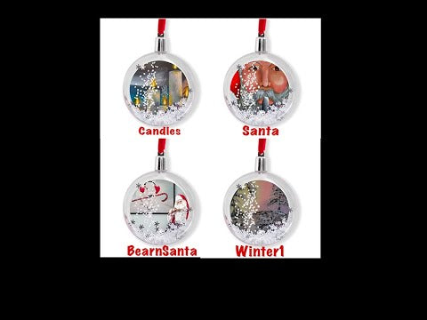 Winter 1 Snow Globe Ornaments